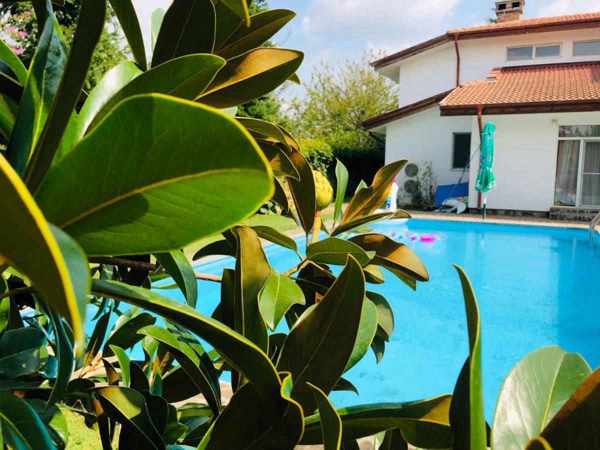 Villa Nymphea Water Lily خيساريا المظهر الخارجي الصورة